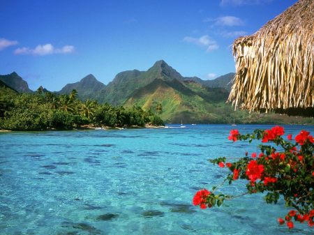 nature_wallpaper_bora_bora_beach_