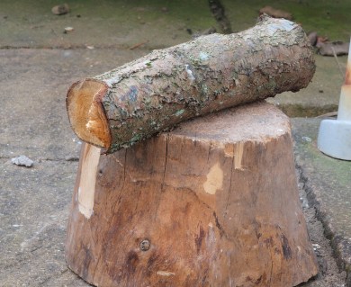 6935673826_68cc94d960_b